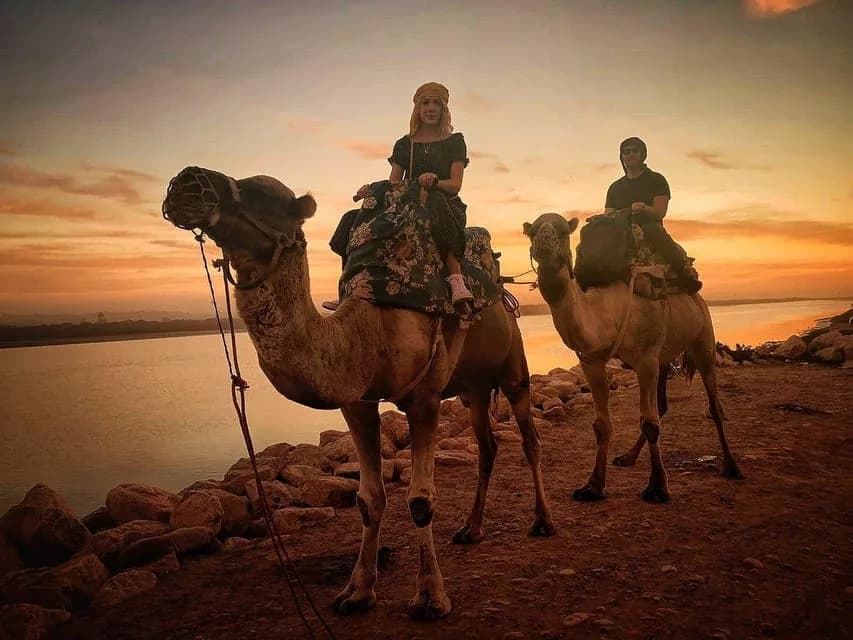 جمل عند الغروب قرب أكادير
