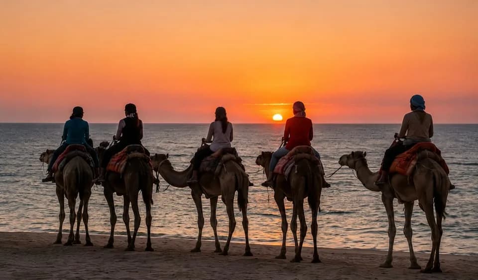 ركوب الجمل عند الغروب في الداخلة