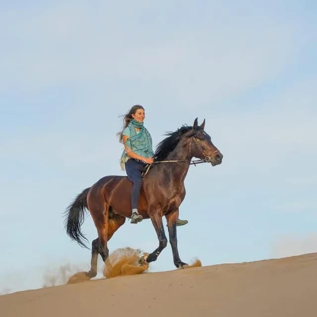 Reitausflug bei Sonnenuntergang in Essaouira