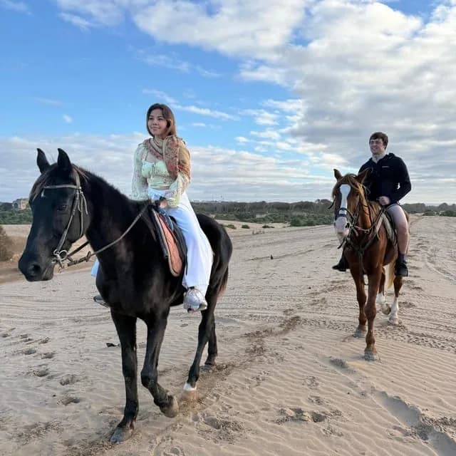 Pferd am Atlantikstrand von Essaouira