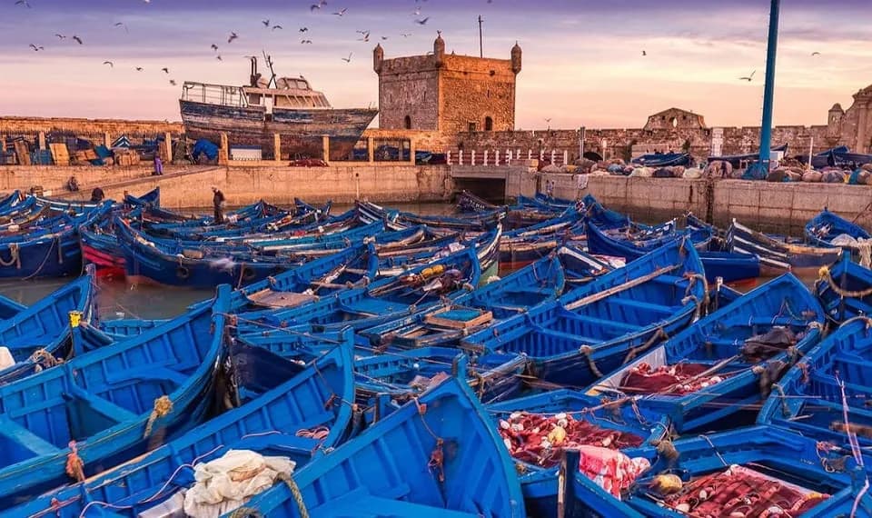 Küste und Medina von Essaouira