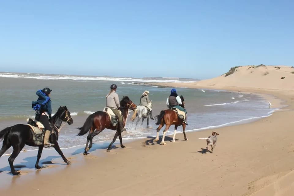 Reitausflug am Strand von Essaouira