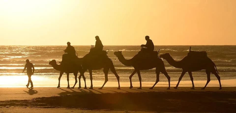 ركوب الجمل على شاطئ الصويرة