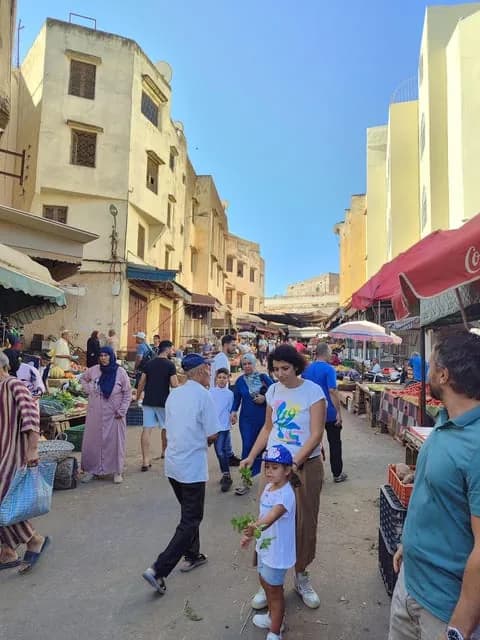 مدينة فاس