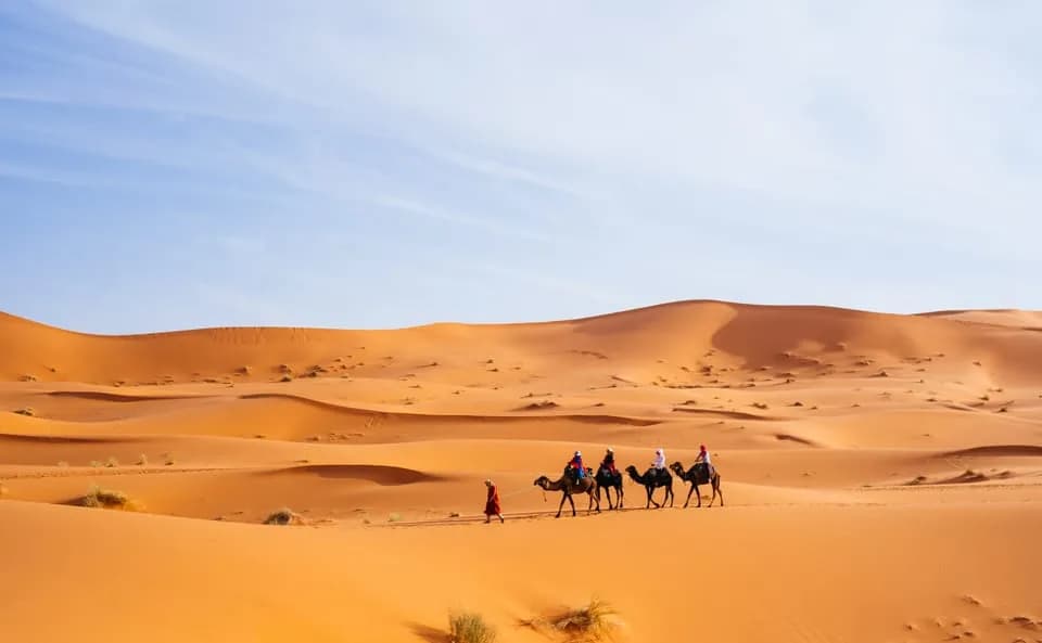 الصحراء من الرباط