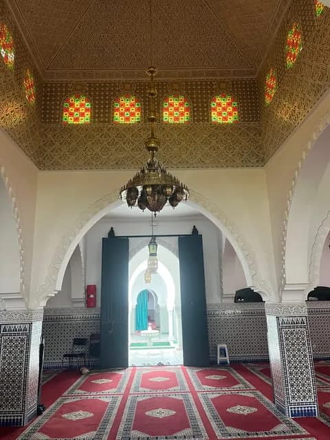 طنجة مدينة ماتيس