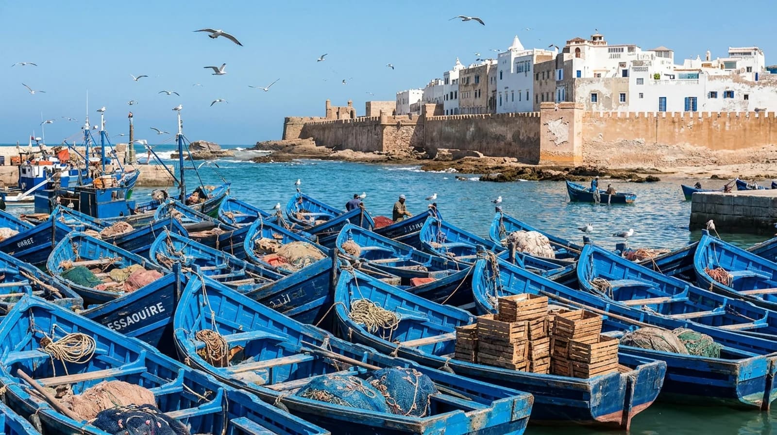 Que faire à Essaouira ? Plage, médina, port et excursions